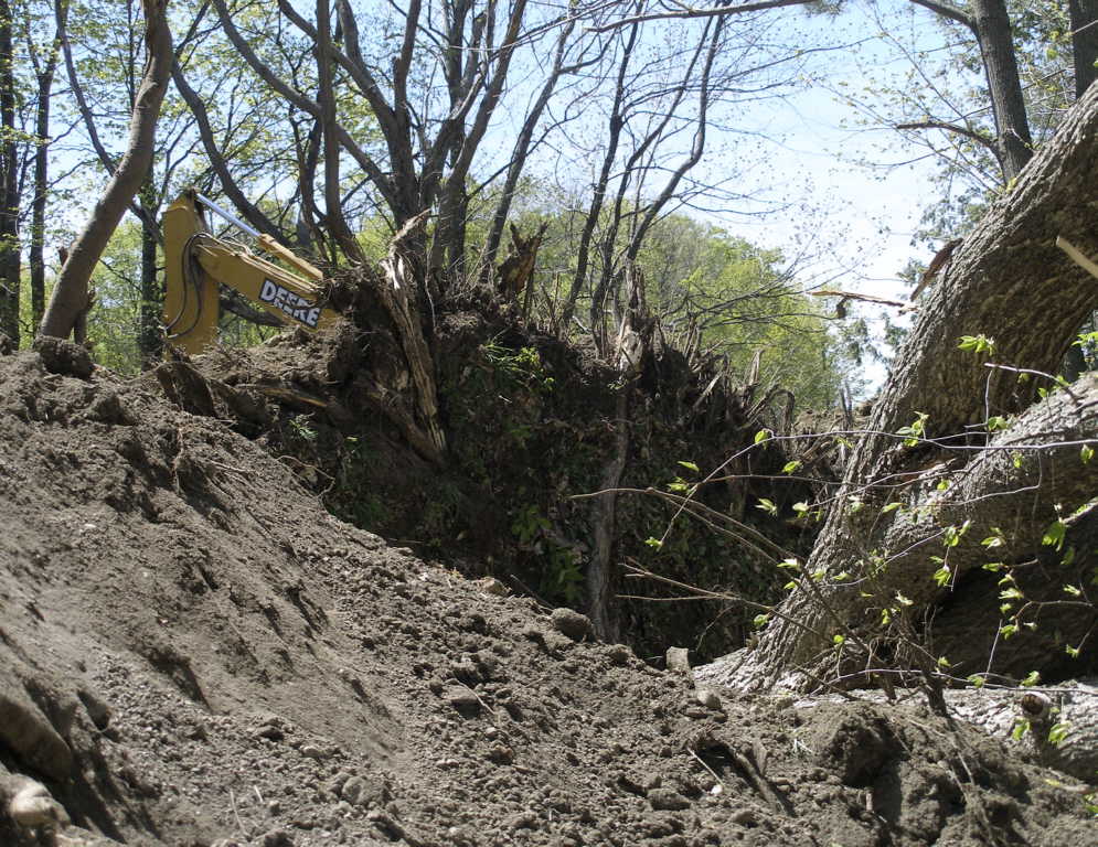 Tree removal 3, May 10