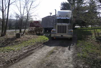 Truck pulls in, May 1