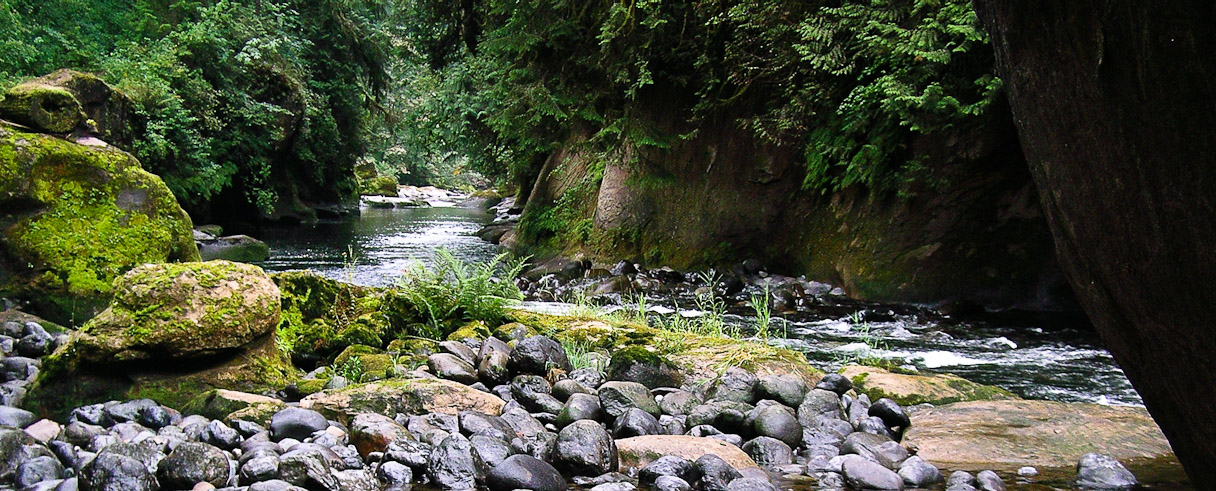The Green
River, August 18th, 2006