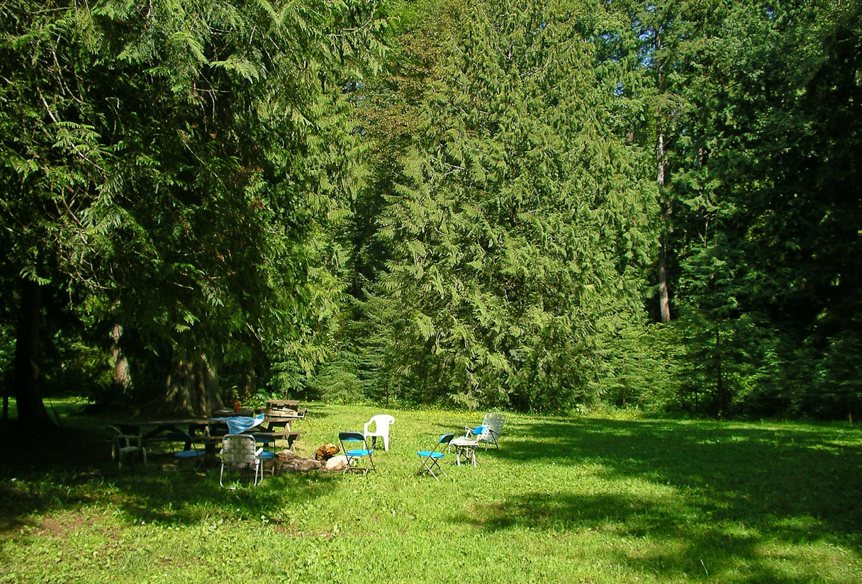 The yard,
August 23rd, 2006