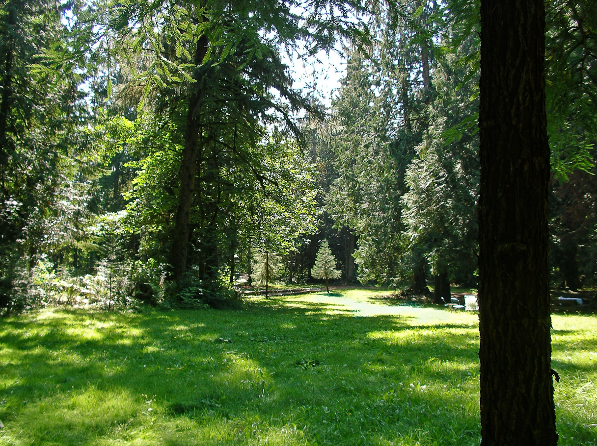 The yard,
August 23rd, 2006