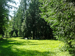 The Yard, August
23rd, 2006