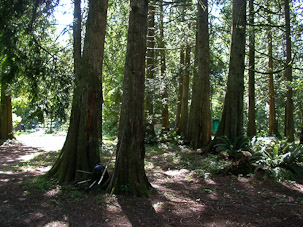 The Yard, August
23rd, 2006