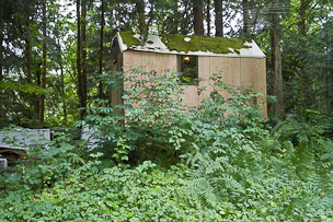 The front wall with new wood