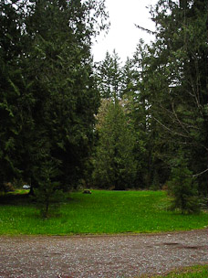 The Yard, March
30th, 2003
