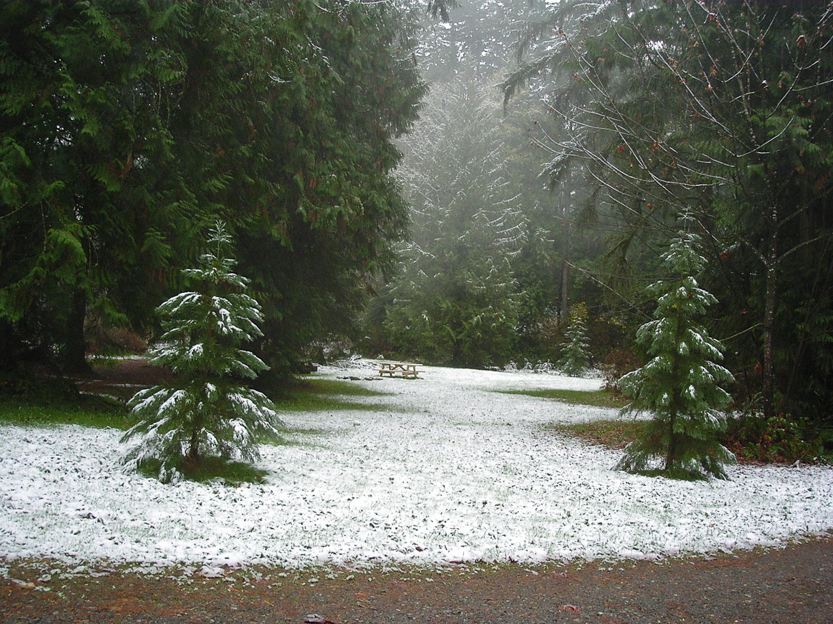 The Yard, November 19th, 2003